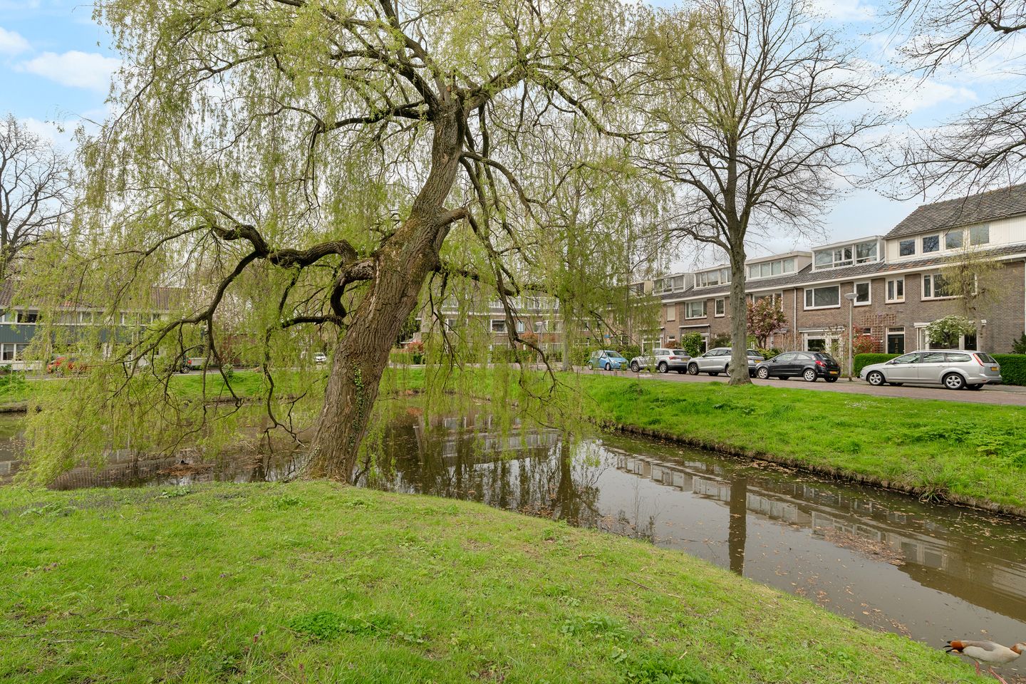 Foto 29 van Riouwstraat 28