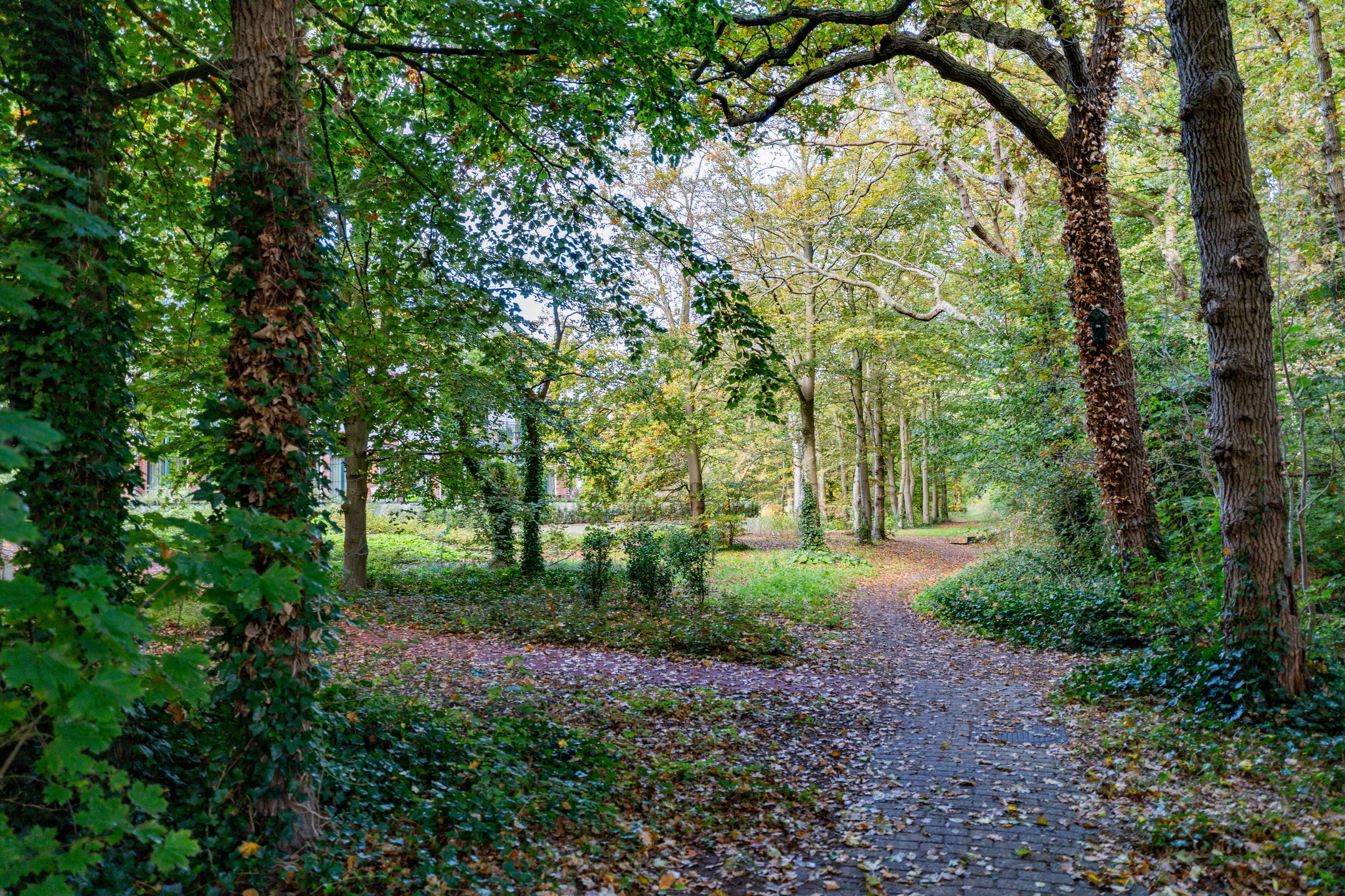 Photo 30 of Oude Parklaan 104-I