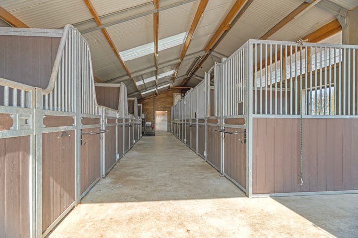 Foto 4 van Ringdam 5