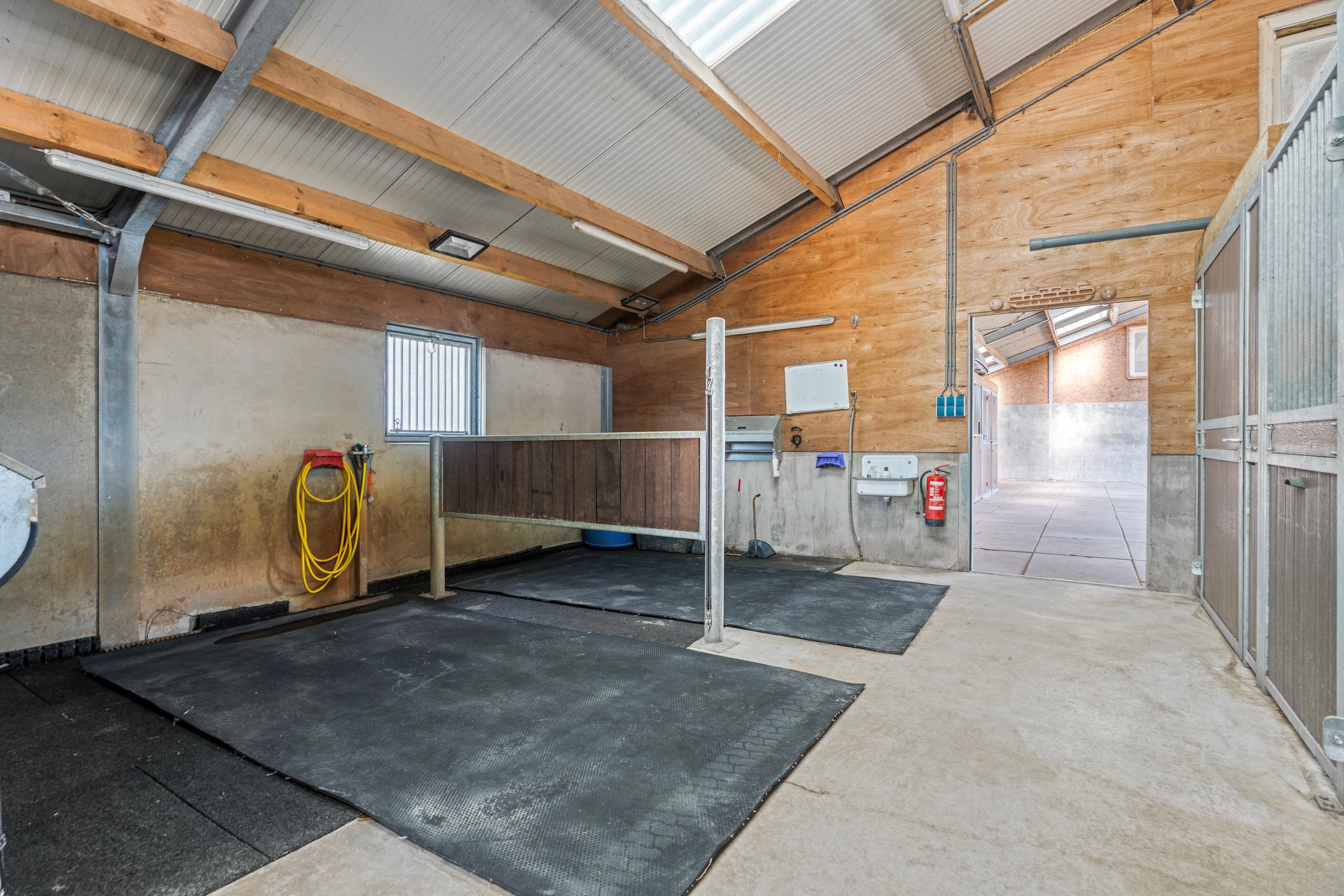 Photo 66 of Ringdam 5