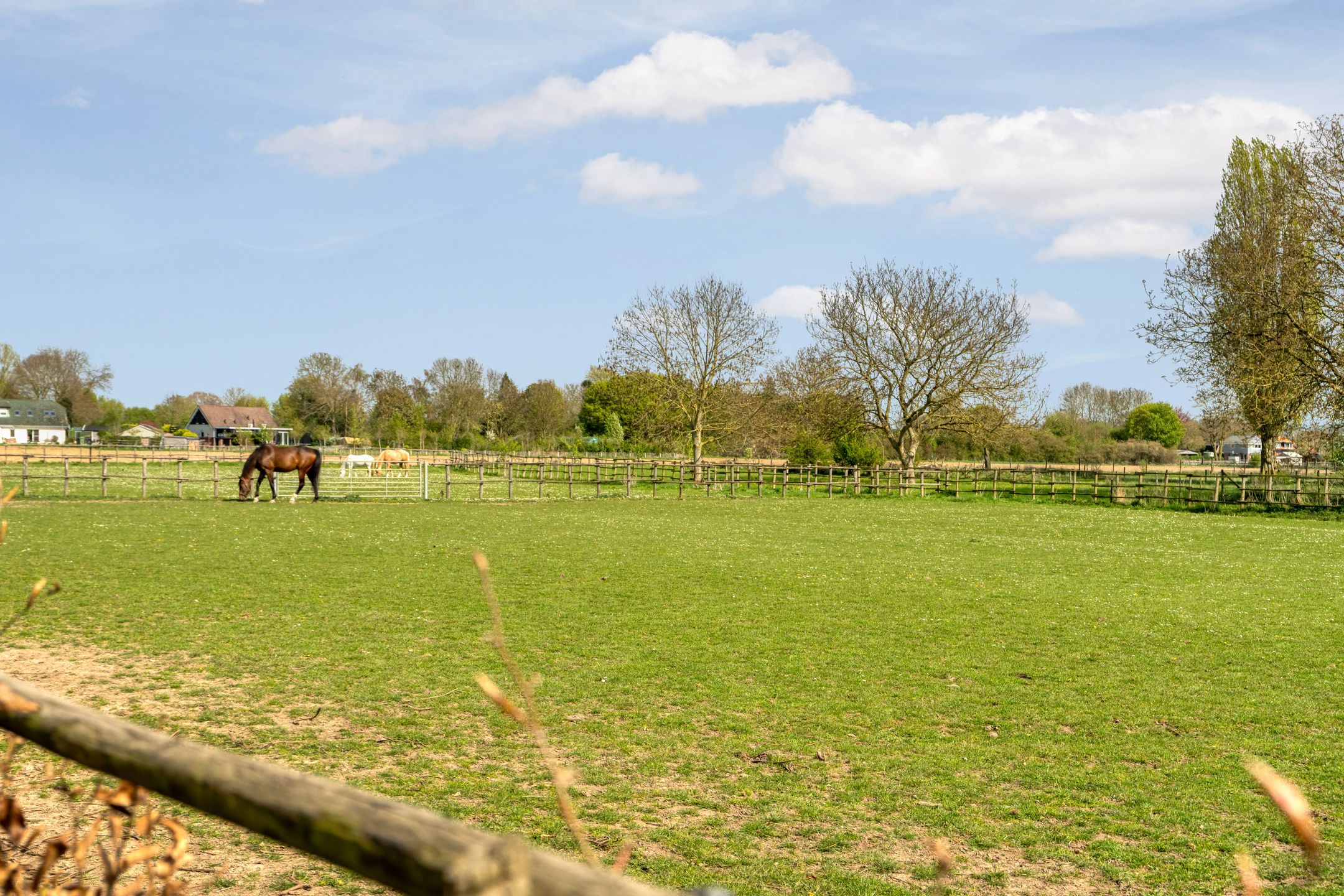 Photo 78 of Ringdam 5