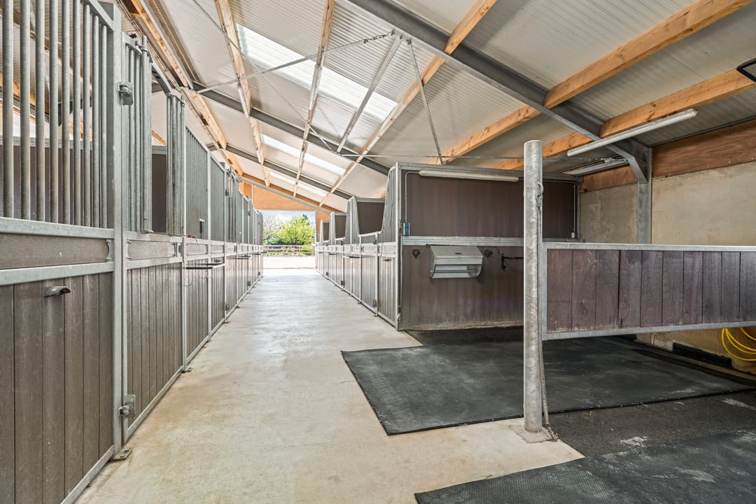 Photo 67 of Ringdam 5