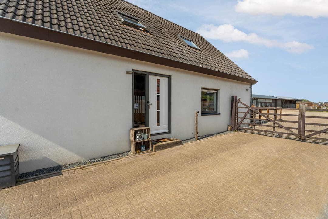 Photo 7 of Ringdam 5