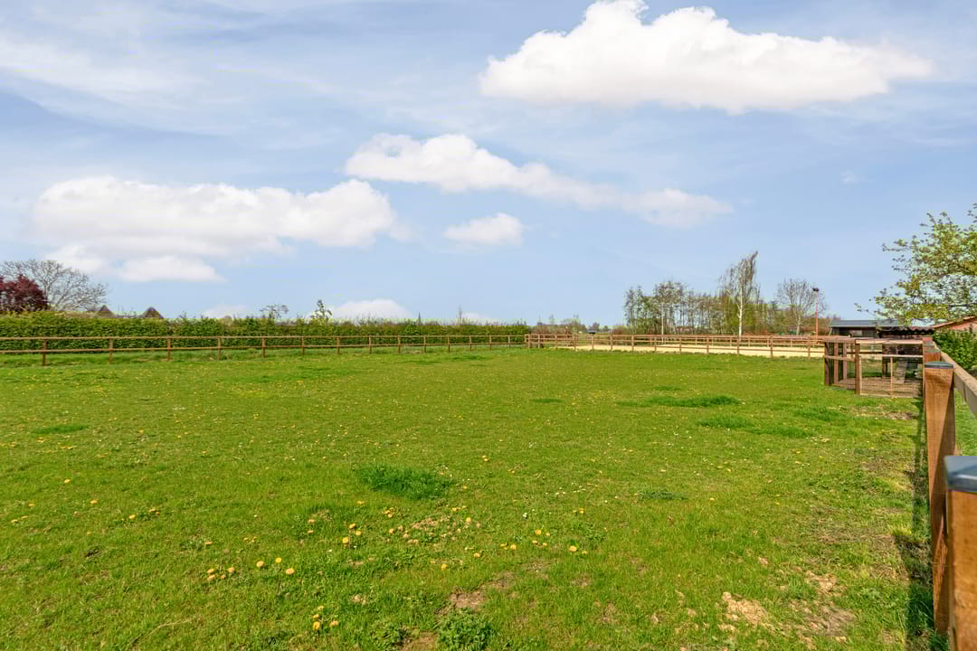 Photo 56 of Ringdam 5