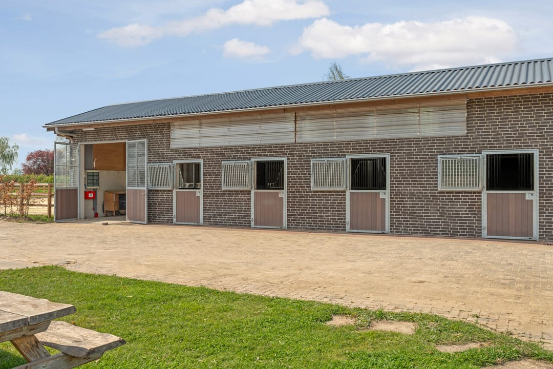 Photo 61 of Ringdam 5