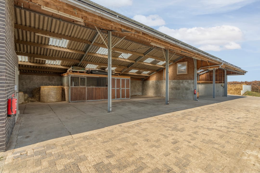 Photo 62 of Ringdam 5