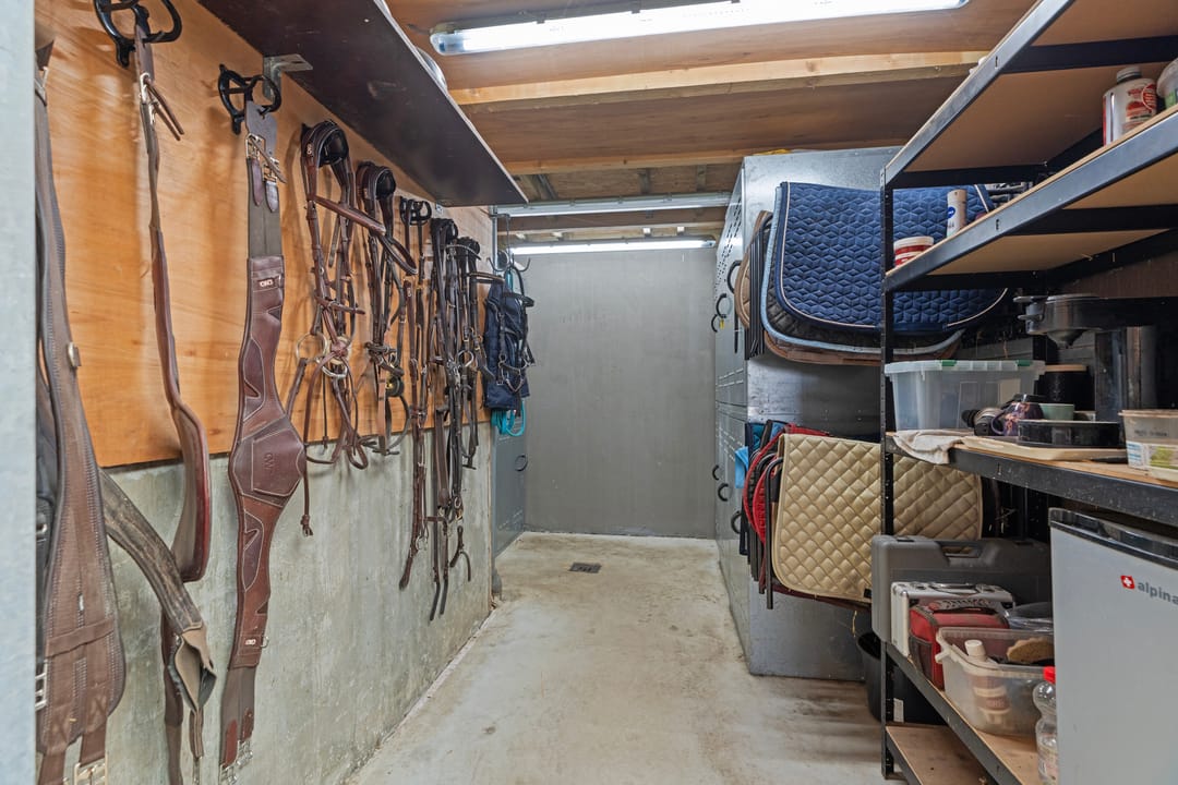 Photo 68 of Ringdam 5