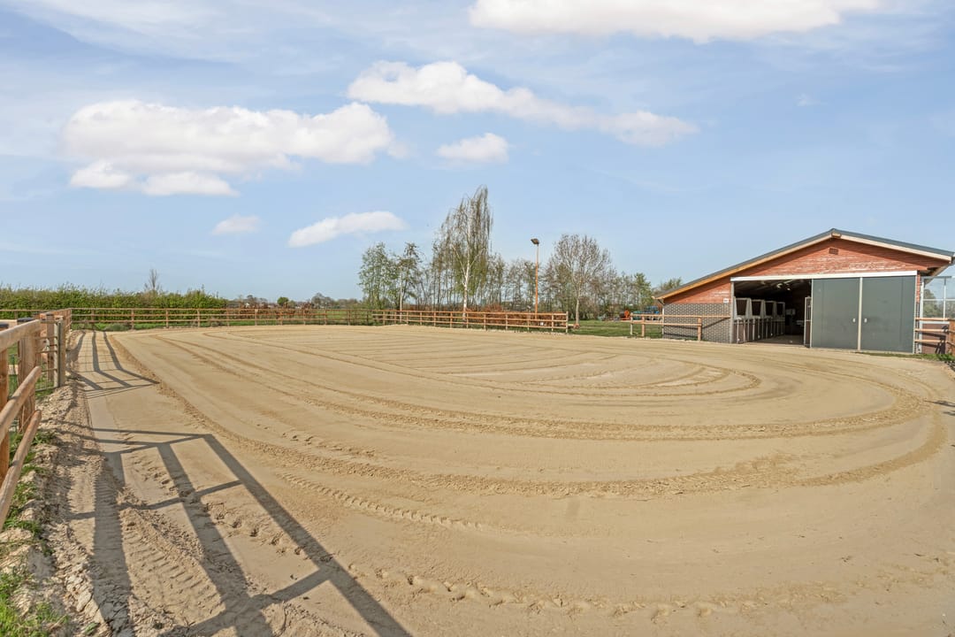 Photo 76 of Ringdam 5