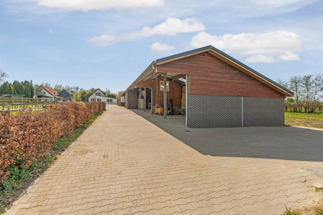 Photo 83 of Ringdam 5