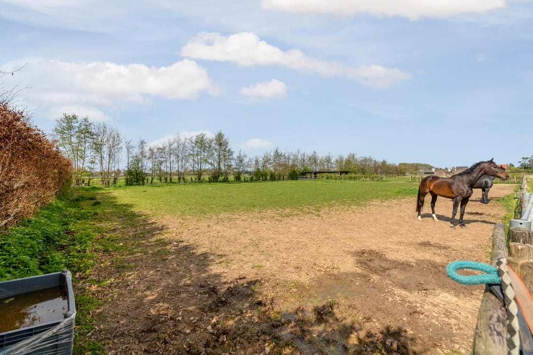 Photo 82 of Ringdam 5