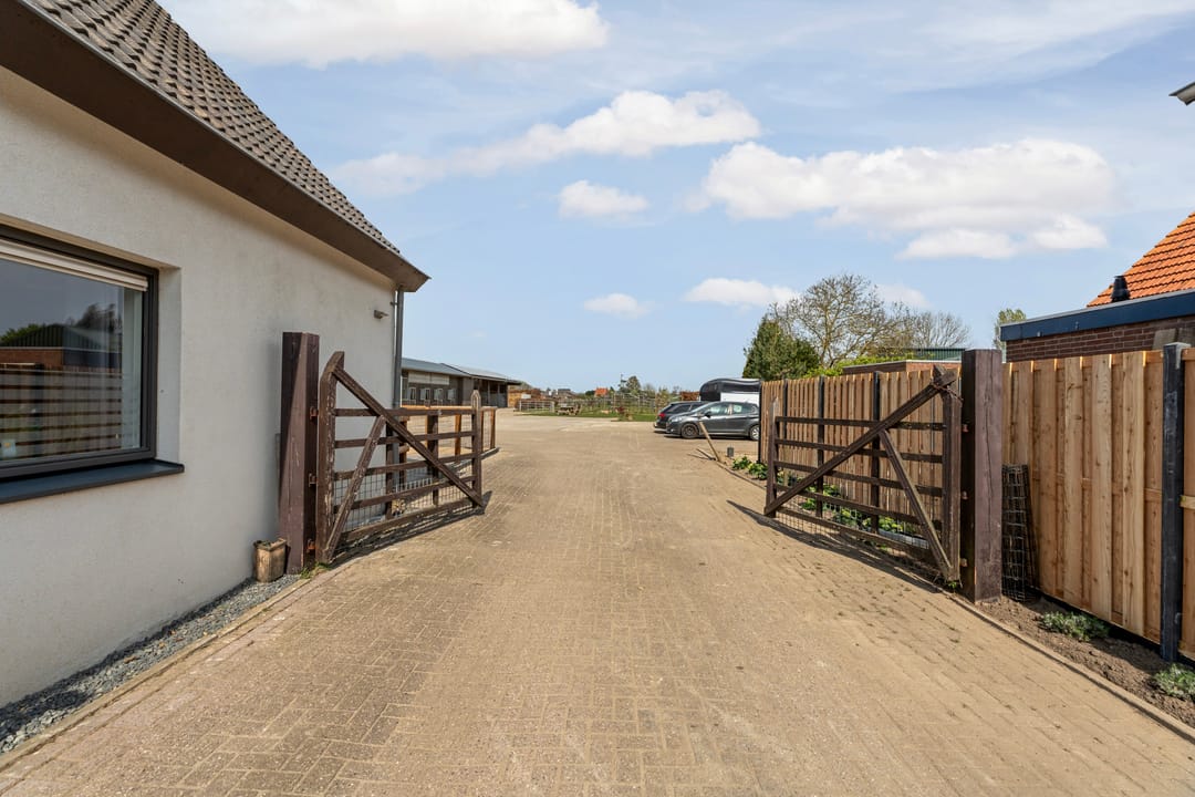 Photo 8 of Ringdam 5