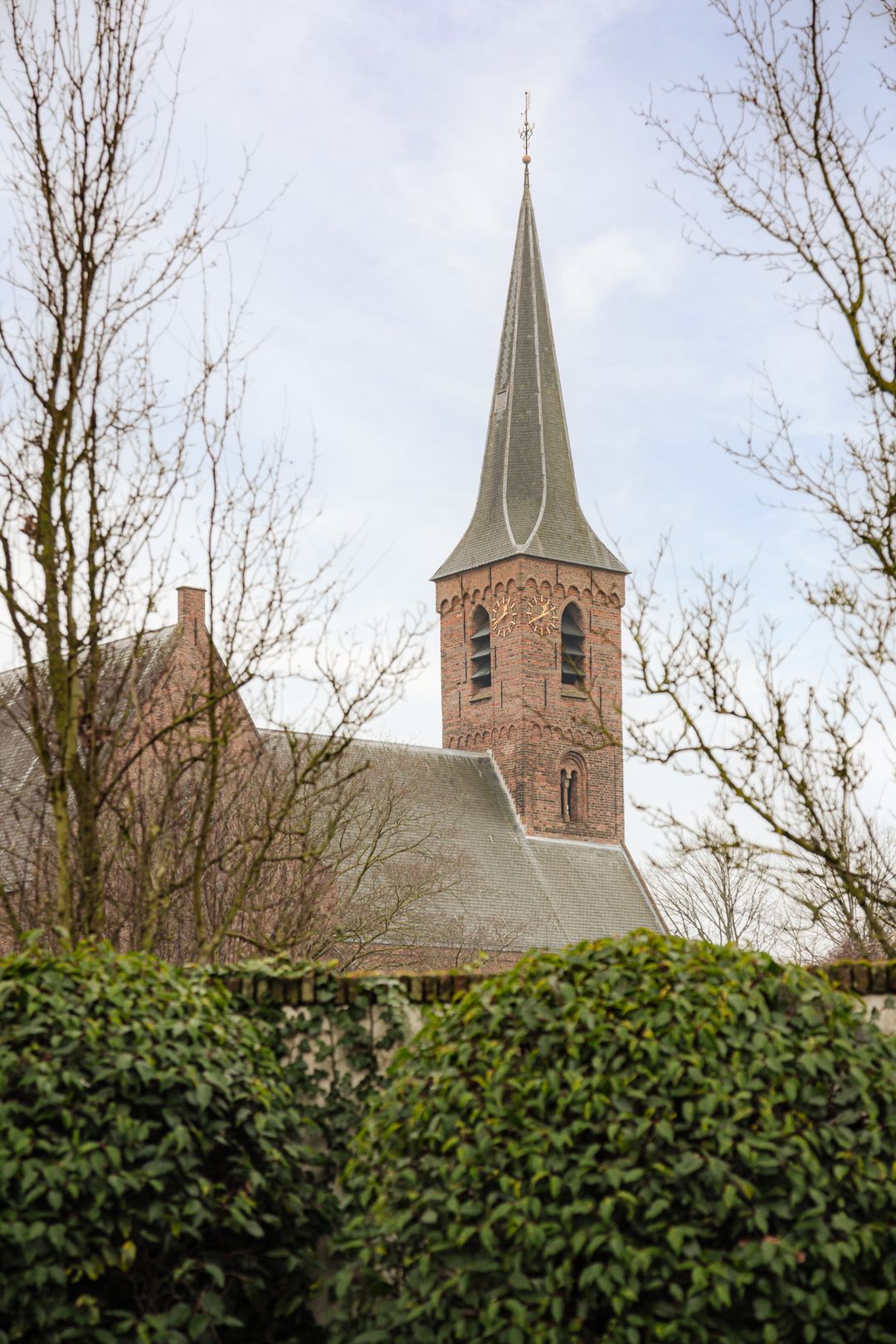 Foto 37 van Berkheistraat 21