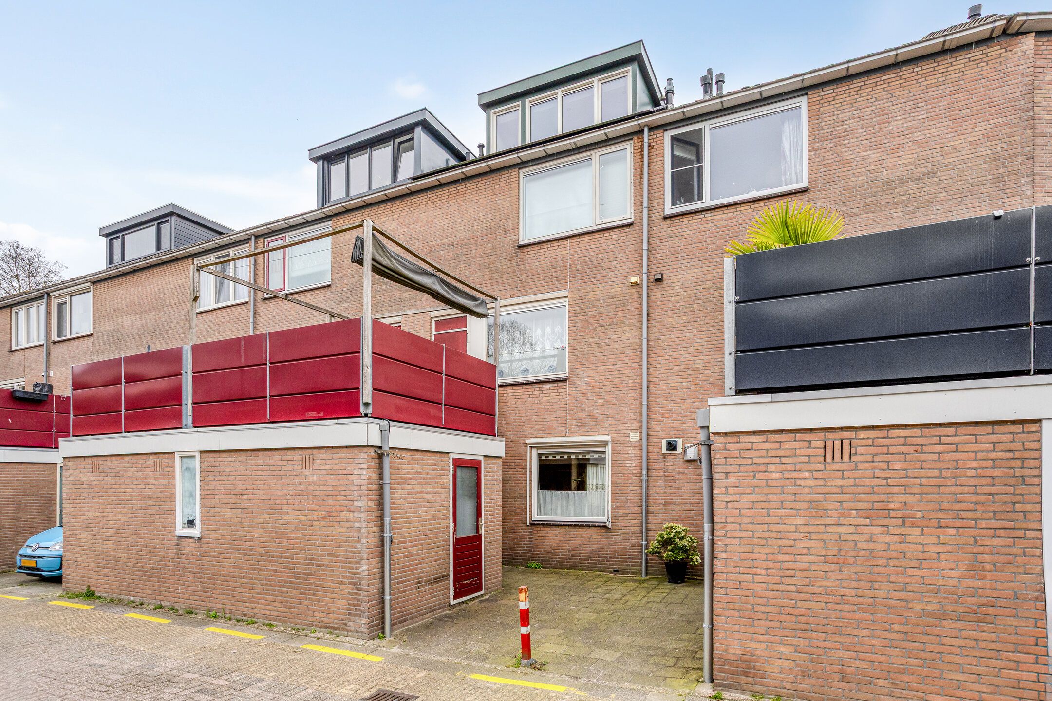Zwaan 21 