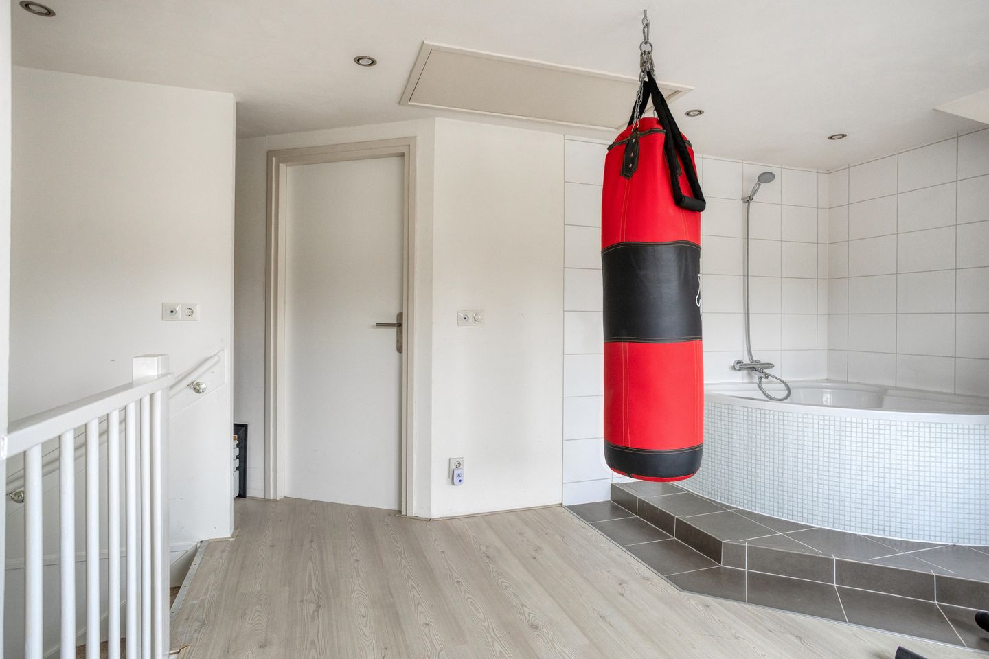 Foto 25 van Zwaan 21