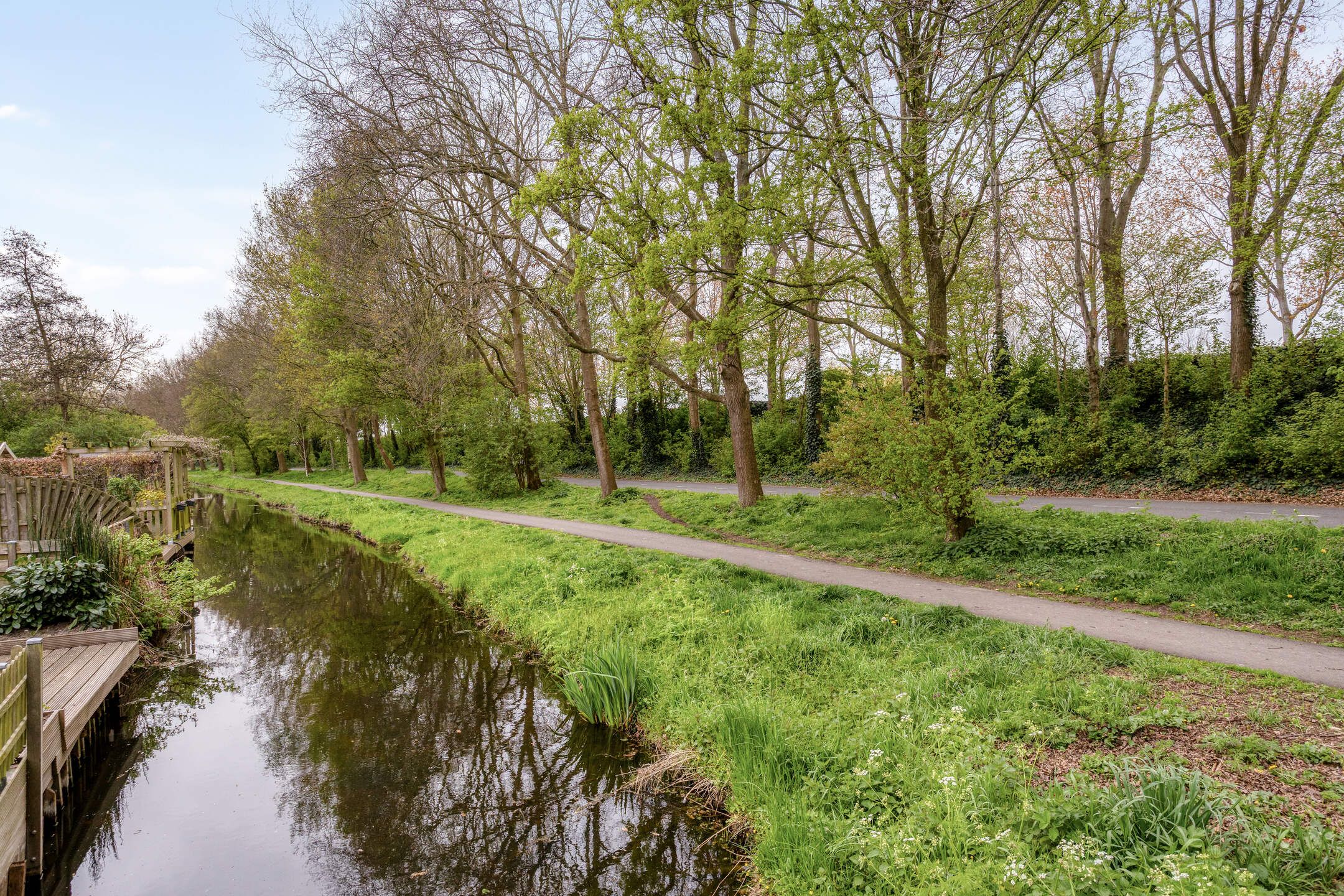 Foto 30 van Zwaan 21