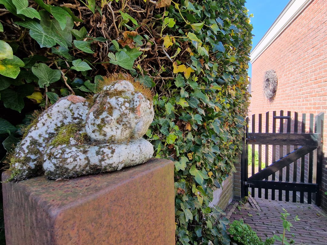 Foto 82 van Fabrieksstraat 2