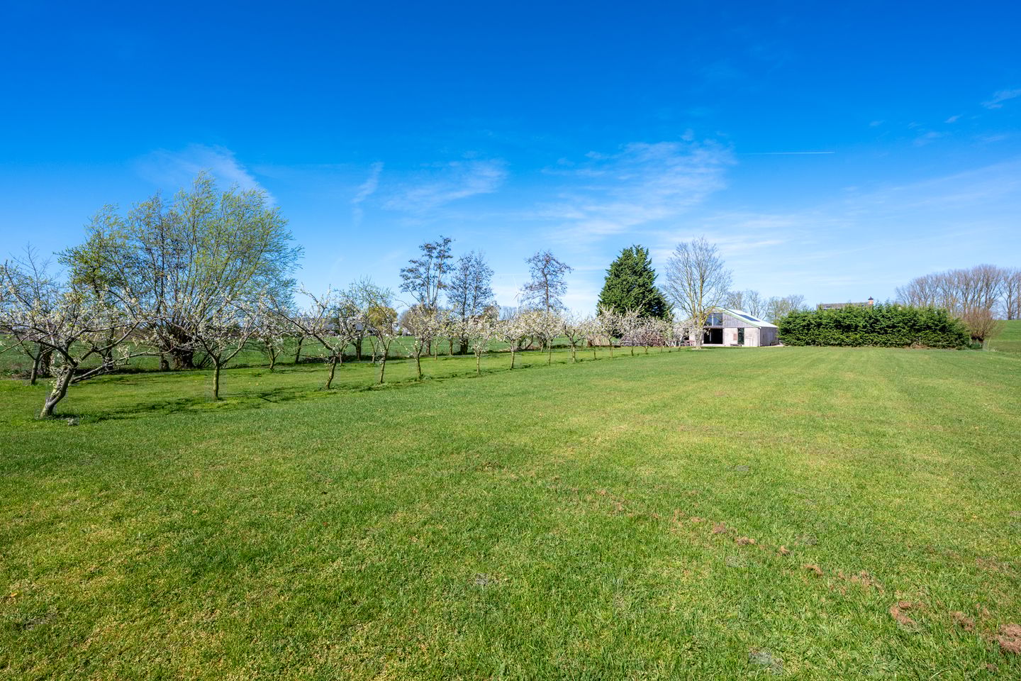 Foto 4 van Broekweg 12