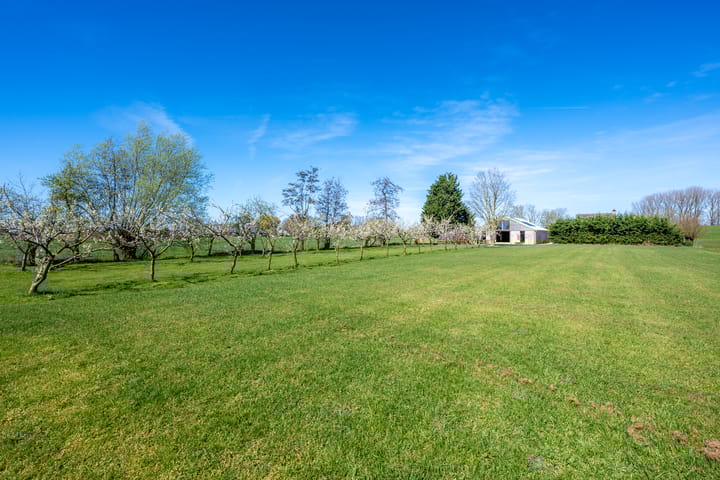 Foto 4 van Broekweg 12