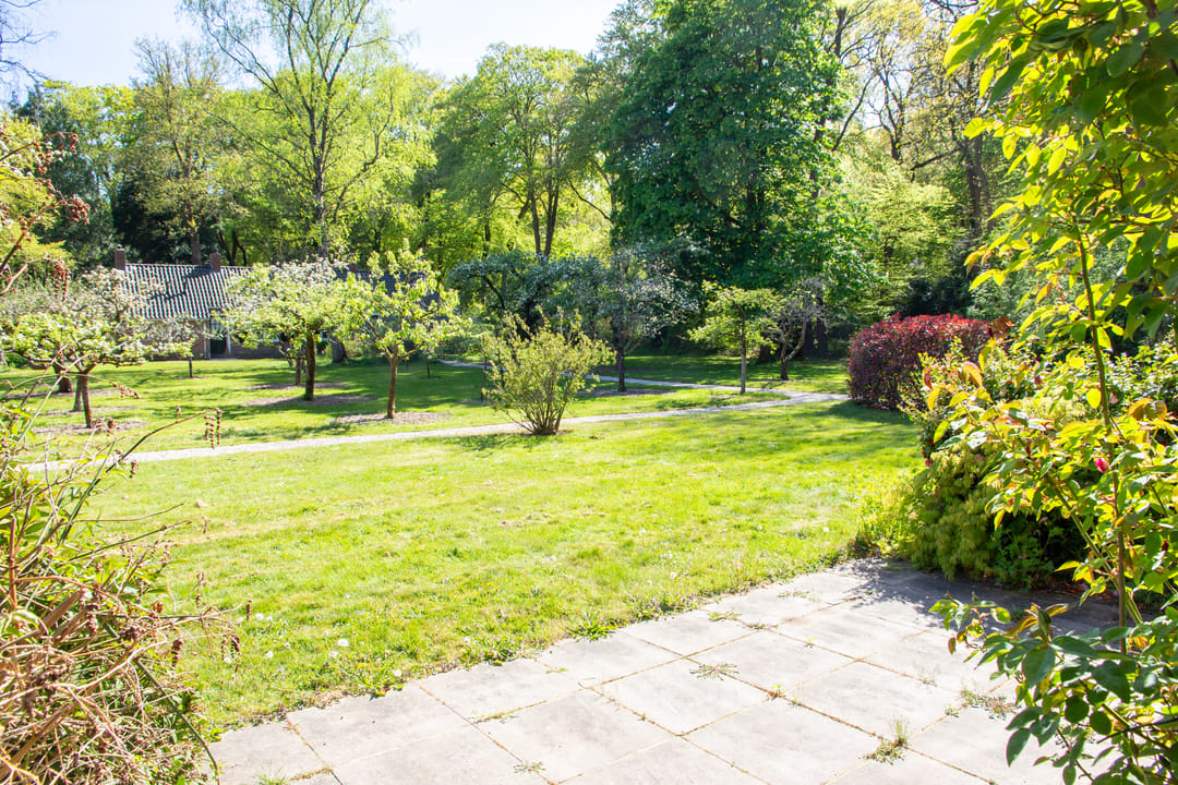 Foto 23 van Park Rodichem 65