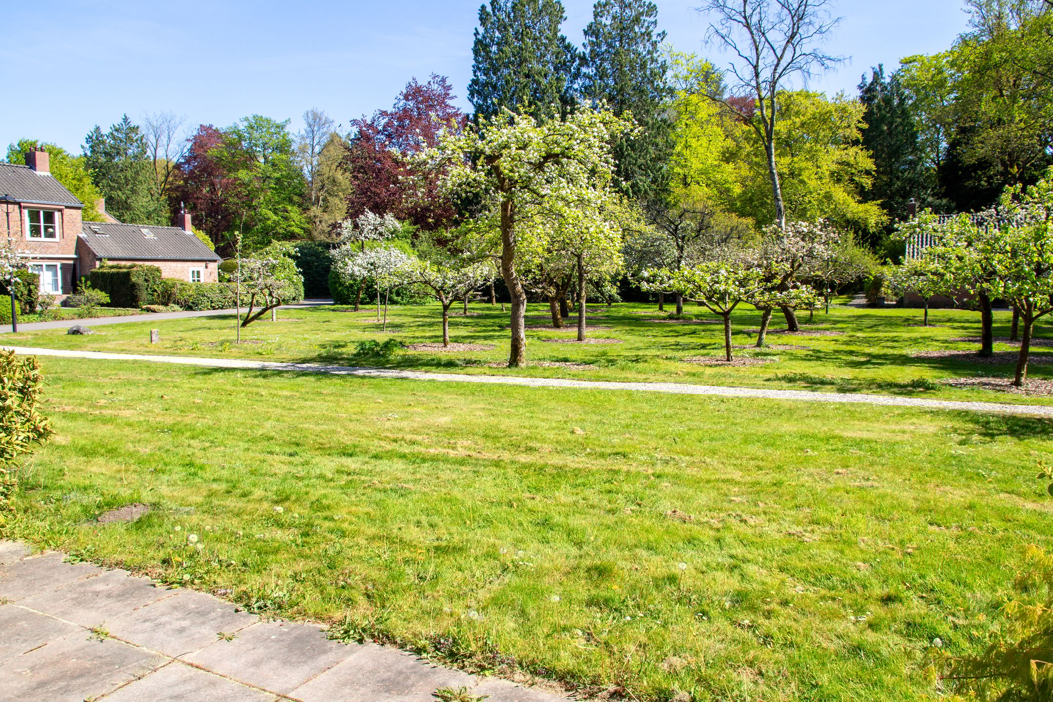 Foto 24 van Park Rodichem 65