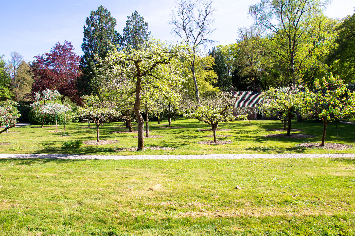 Foto 29 van Park Rodichem 65