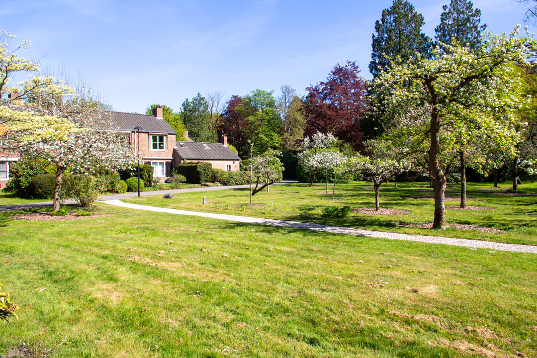 Foto 31 van Park Rodichem 65