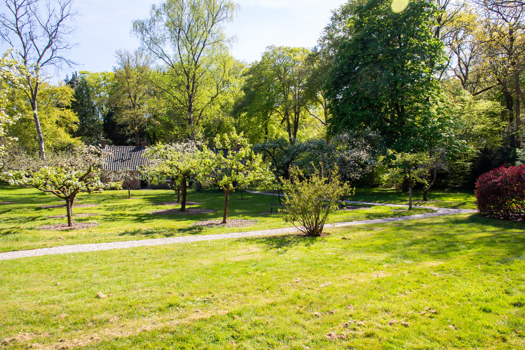 Foto 28 van Park Rodichem 65