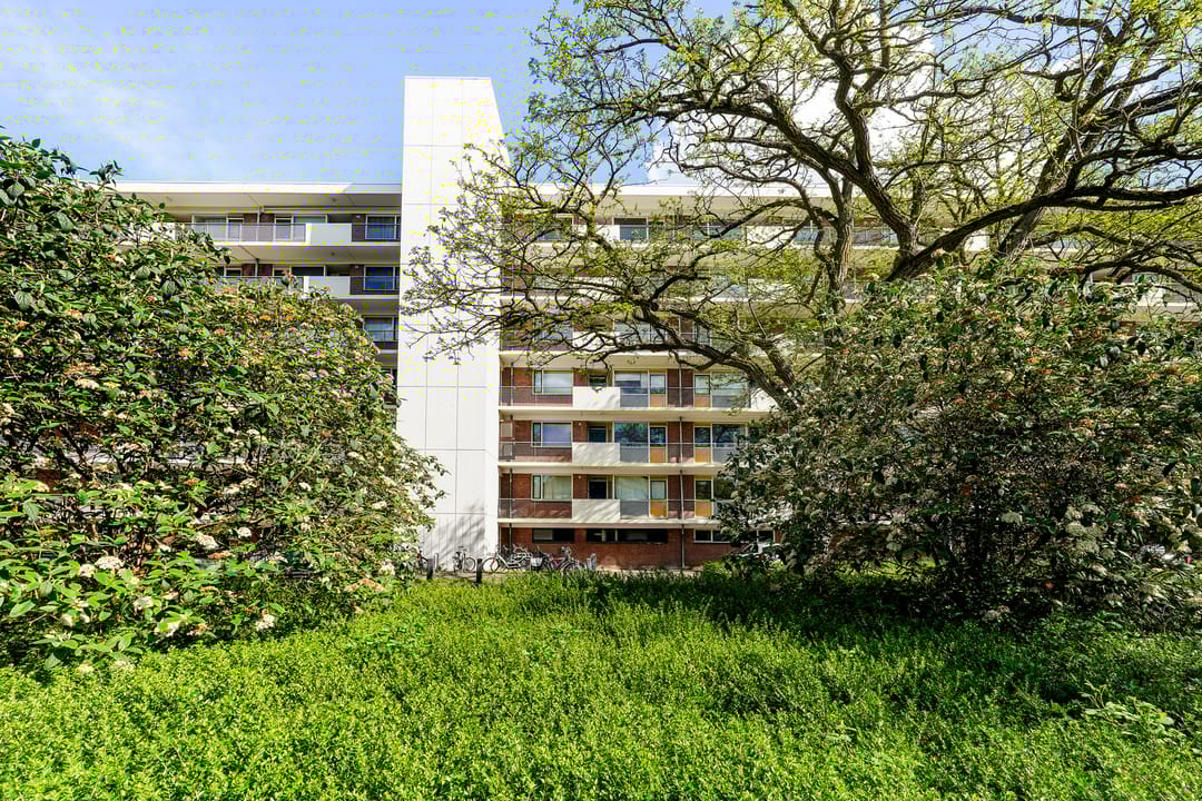 Photo 8 of Professor Cobbenhagenlaan 130