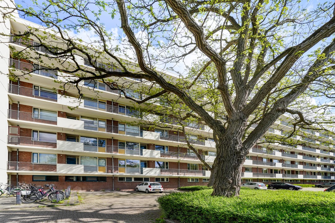 Photo 43 of Professor Cobbenhagenlaan 130