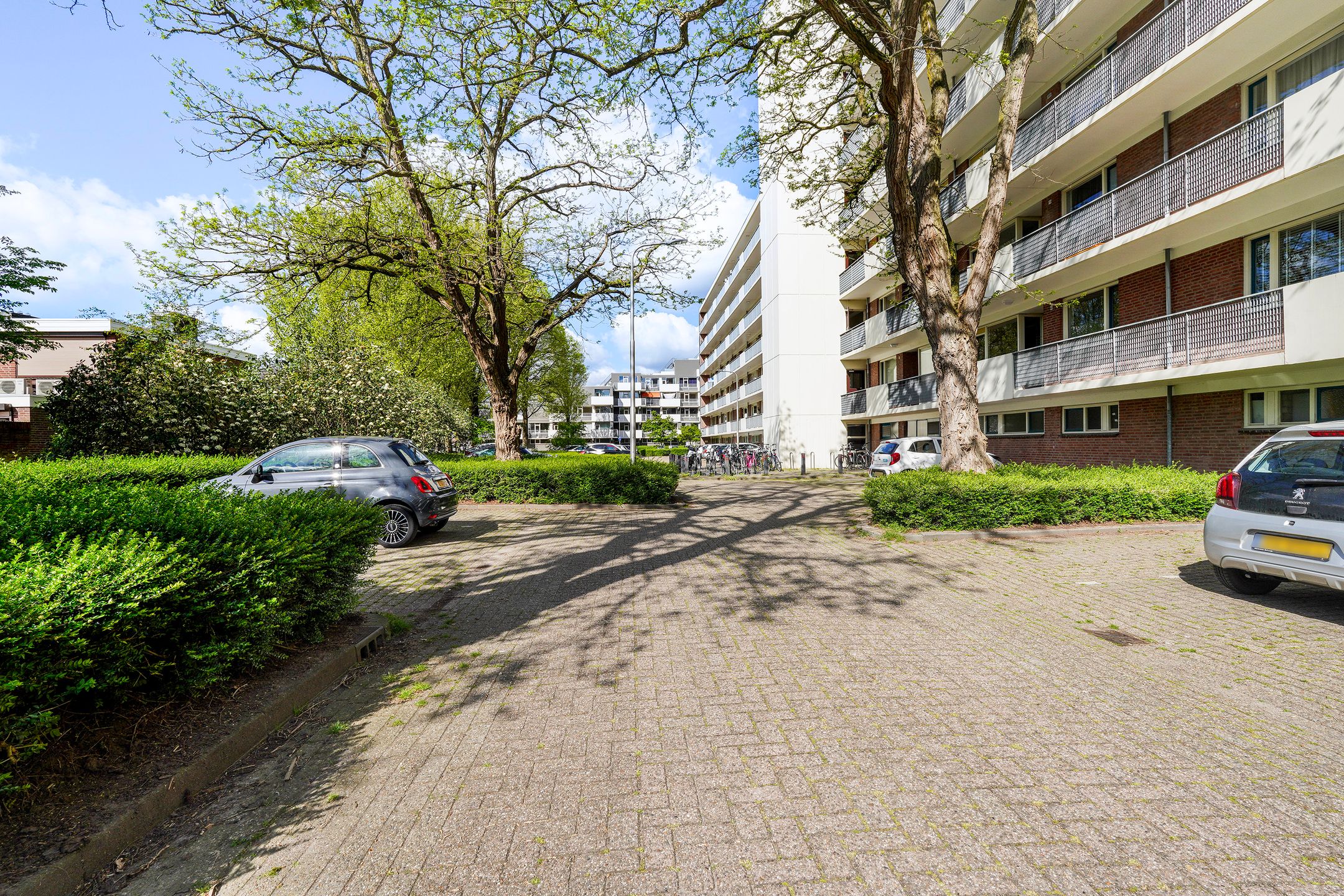 Photo 45 of Professor Cobbenhagenlaan 130