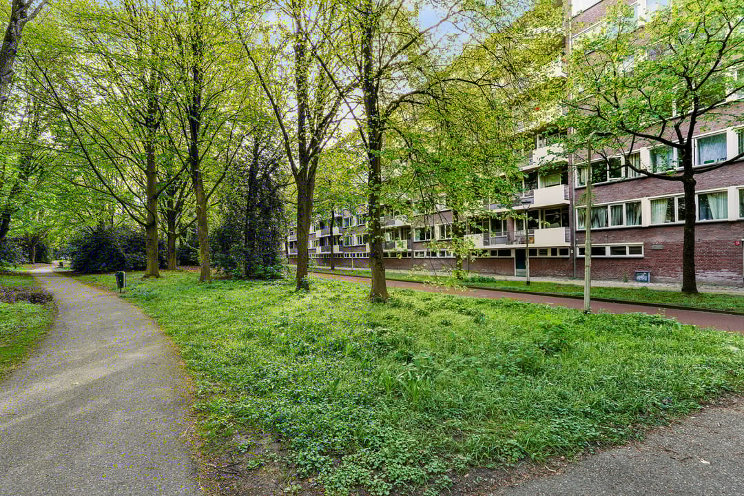 Photo 41 of Professor Cobbenhagenlaan 130