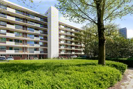 Professor Cobbenhagenlaan thumbnail