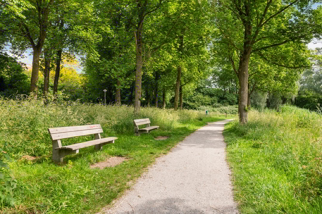 Foto 23 van Leerdamhof 476