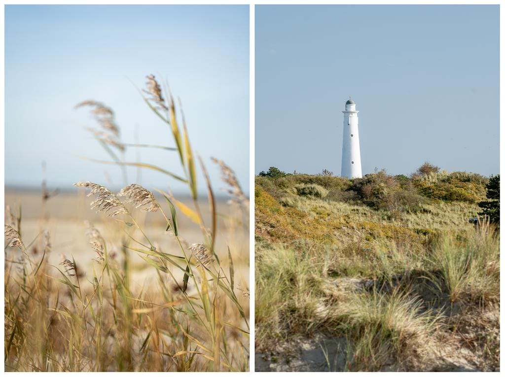 Foto 15 van Middenstreek 7