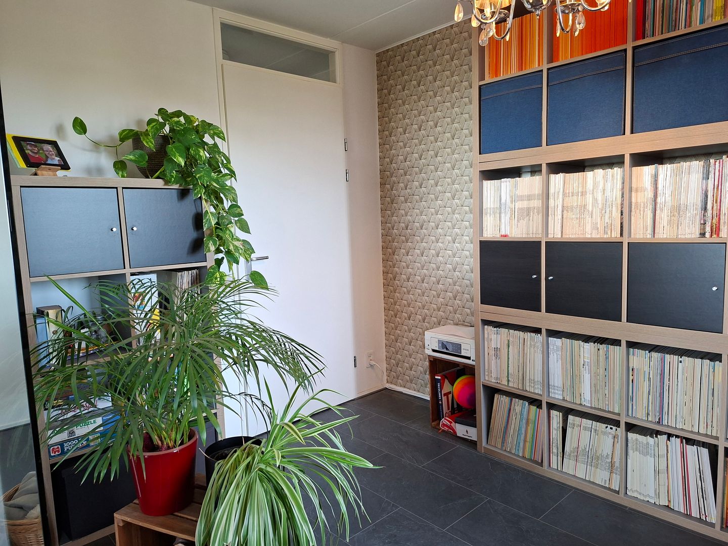 Foto 19 van Primus van Gilspark 18