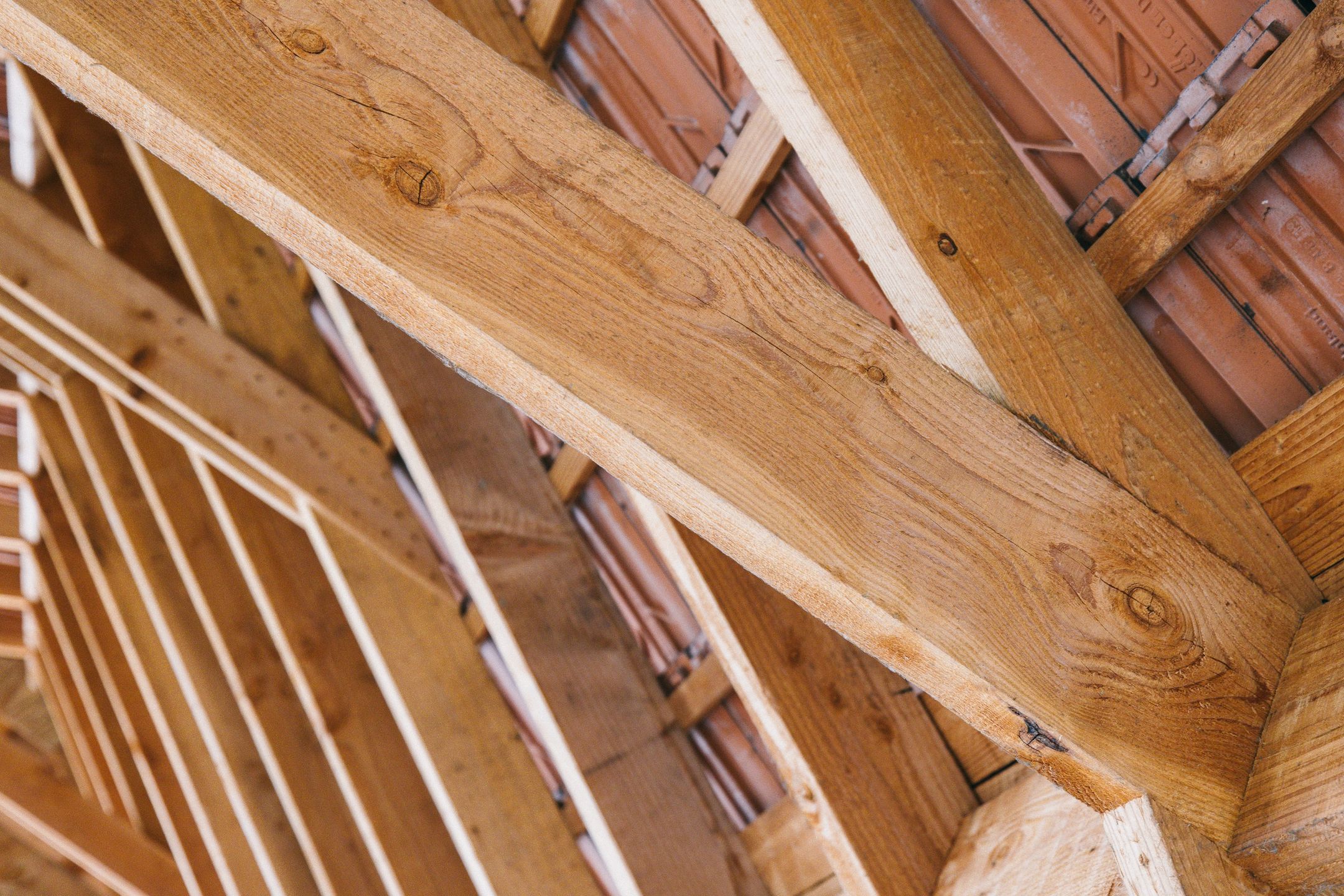 Photo 45 of Paardsweide 2