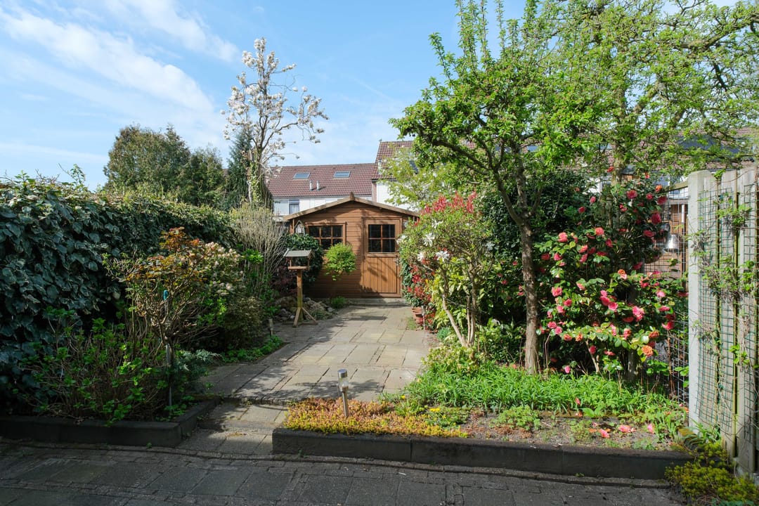 Foto 23 van Ampsen 26