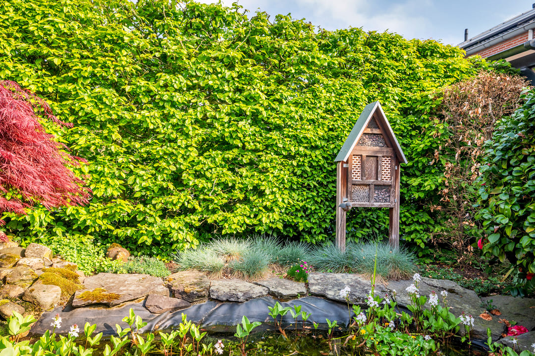 Photo 41 of Burgemeester van Deelensingel 102