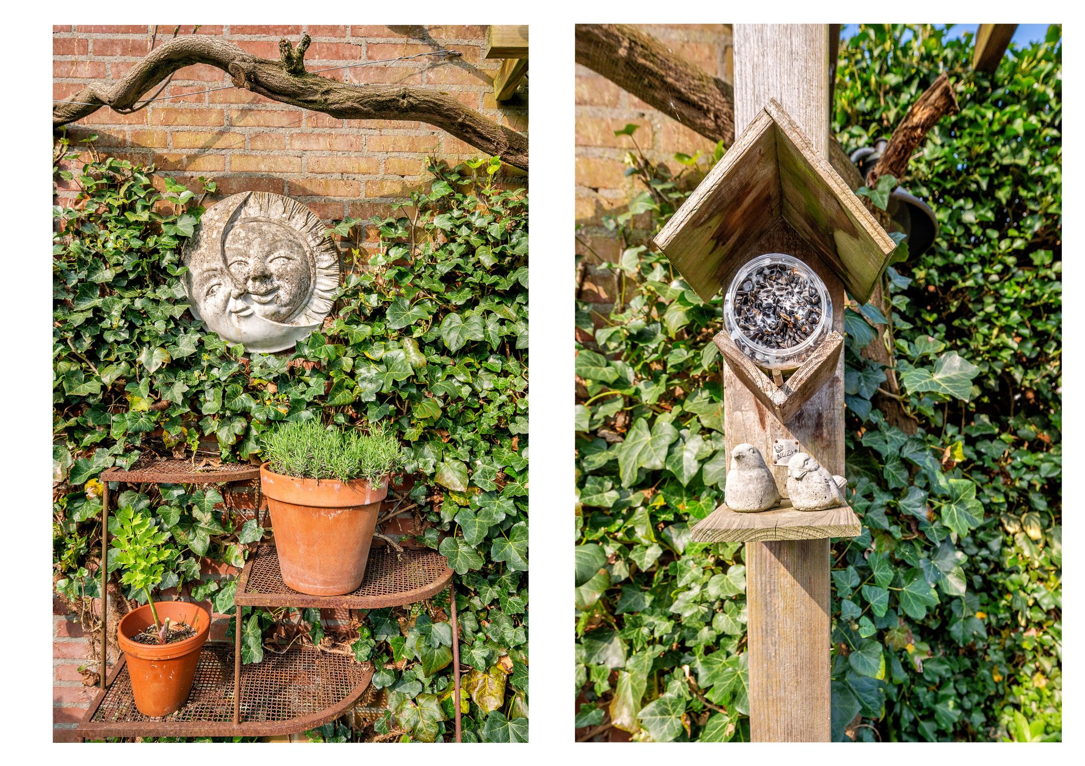 Photo 42 of Burgemeester van Deelensingel 102