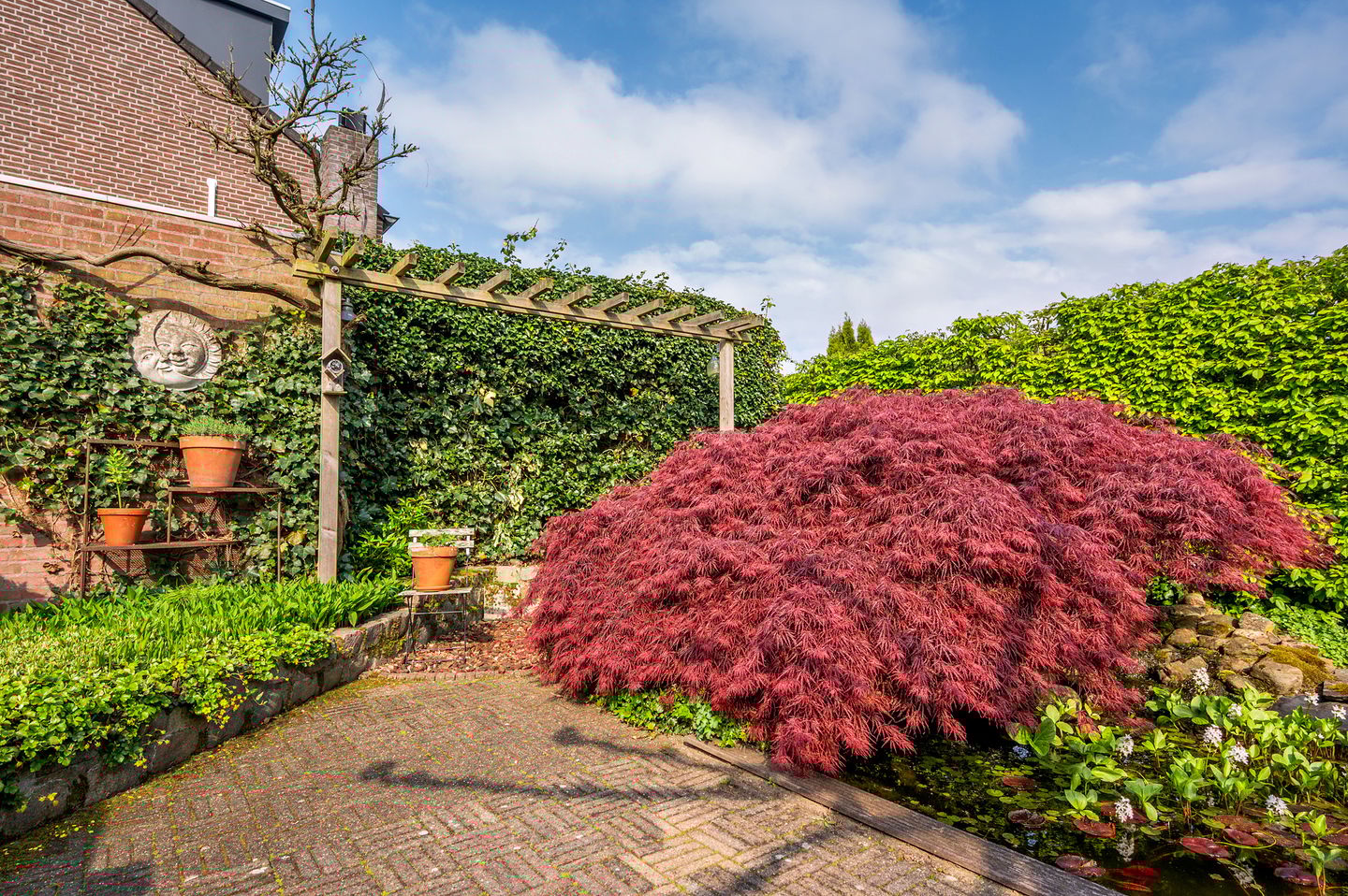 Photo 40 of Burgemeester van Deelensingel 102