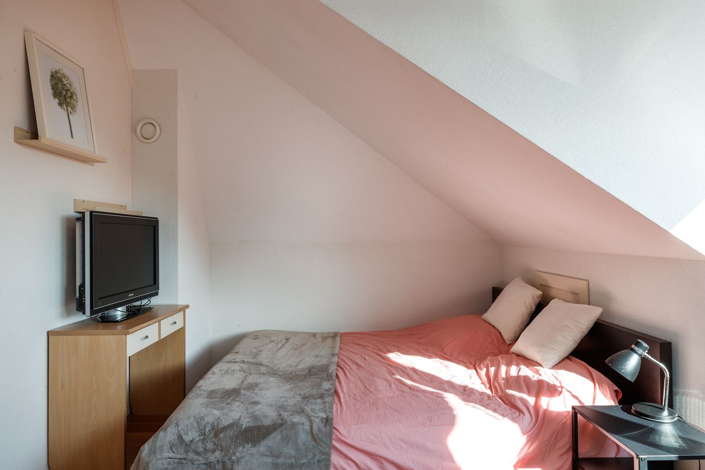 Photo 25 of Romulus 109