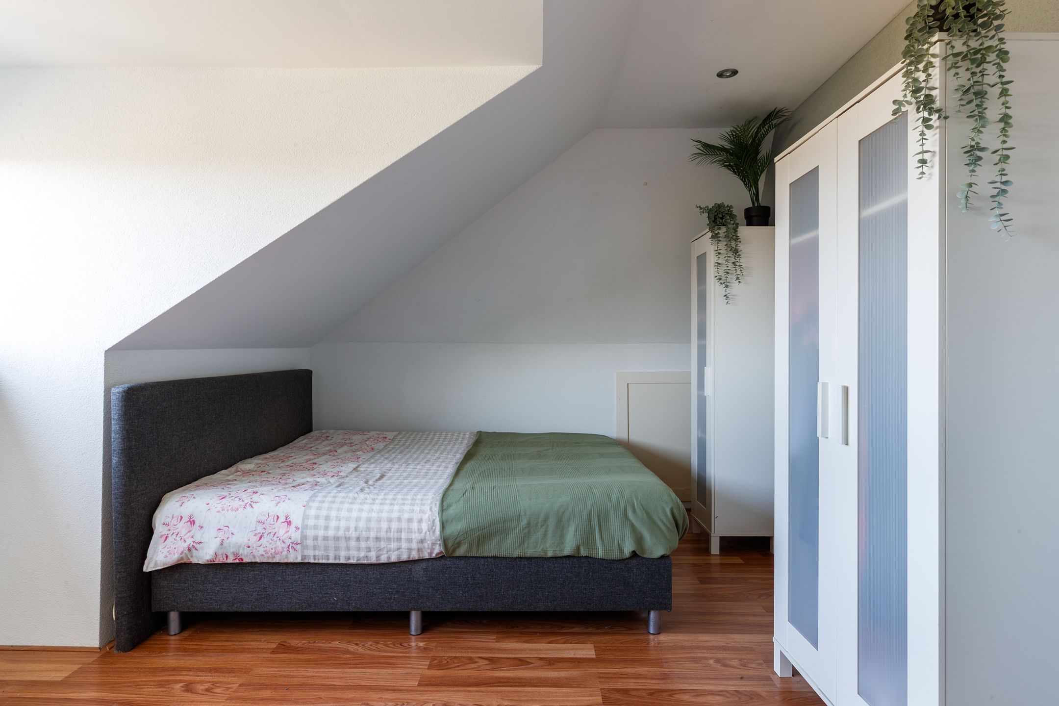 Photo 27 of Romulus 109