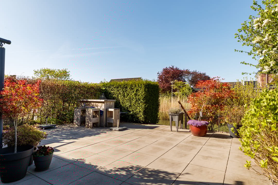 Photo 31 of Romulus 109