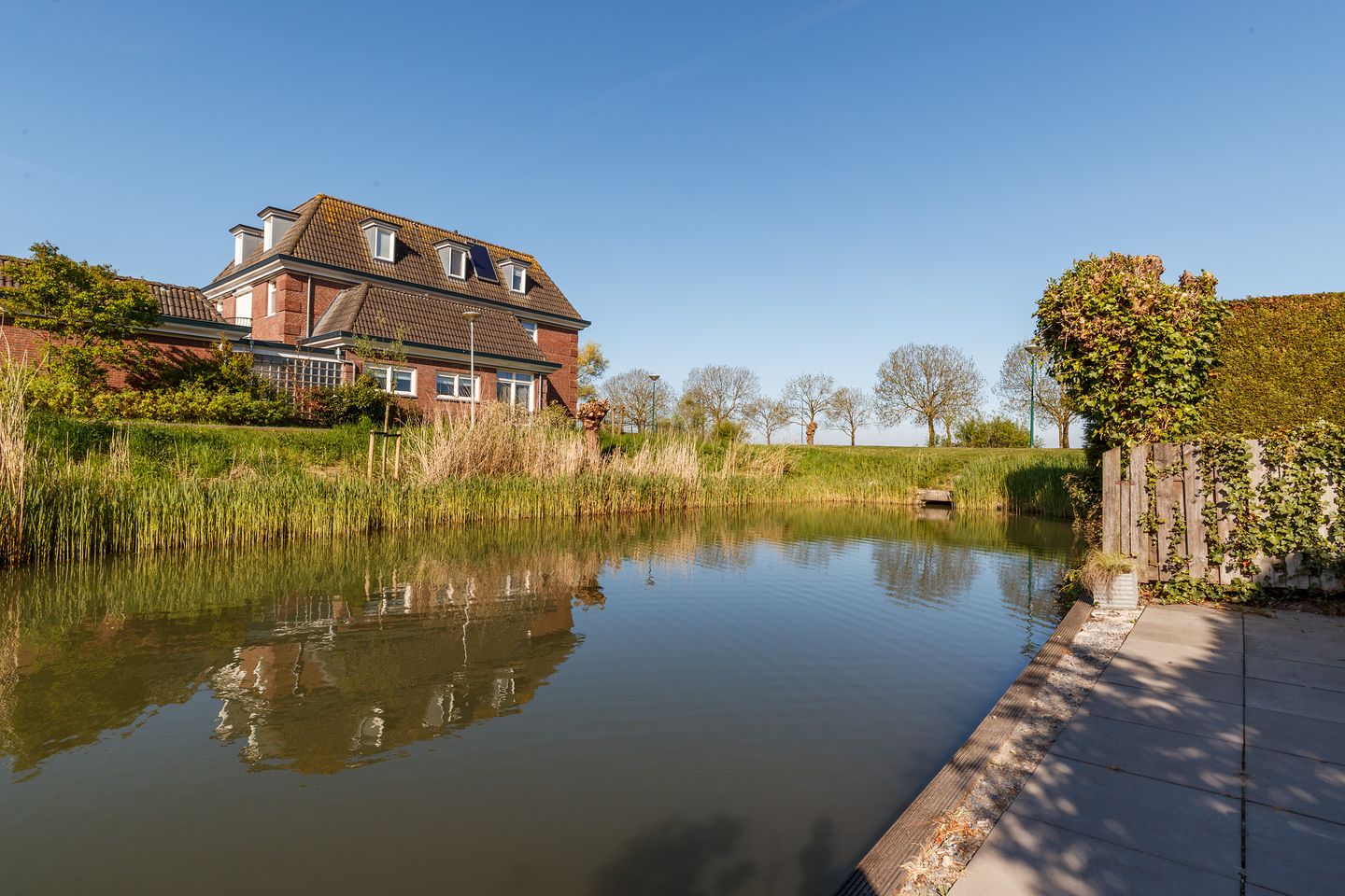 Photo 35 of Romulus 109