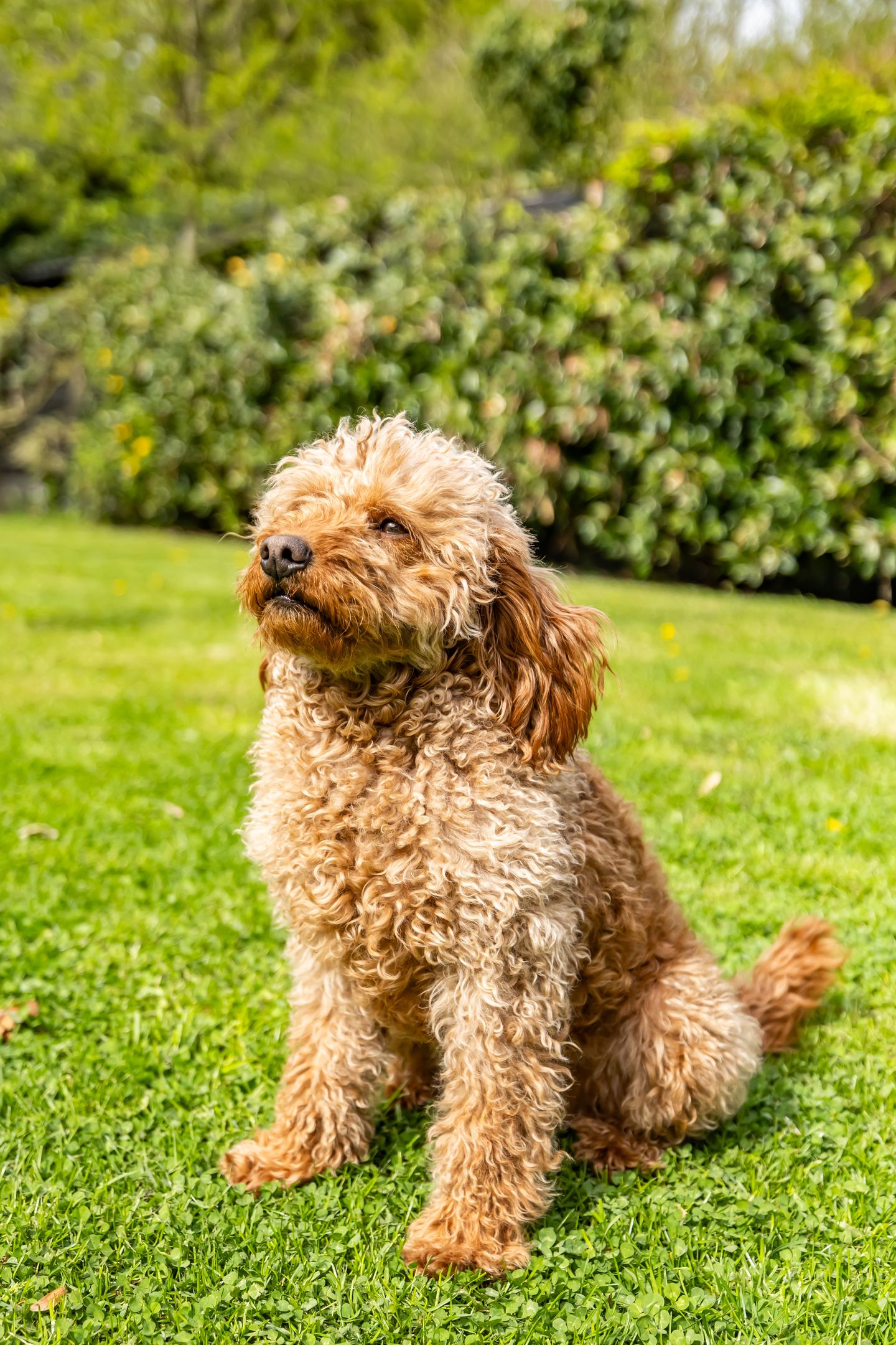 Foto 44 van Weeshuiswal 7