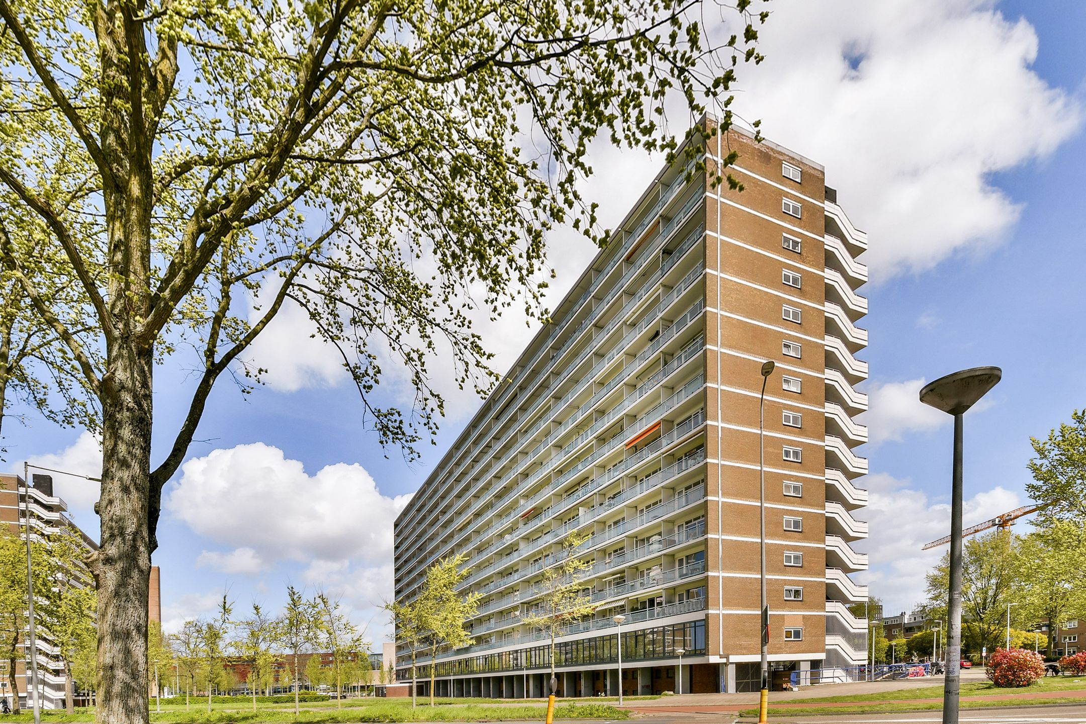 Burgemeester Hogguerstraat 119 