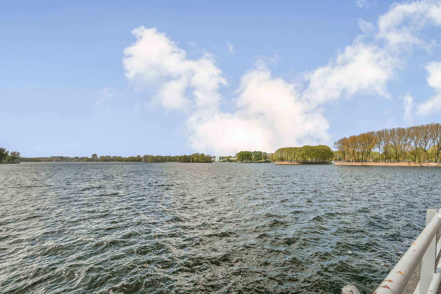 Photo 19 of Burgemeester Hogguerstraat 119