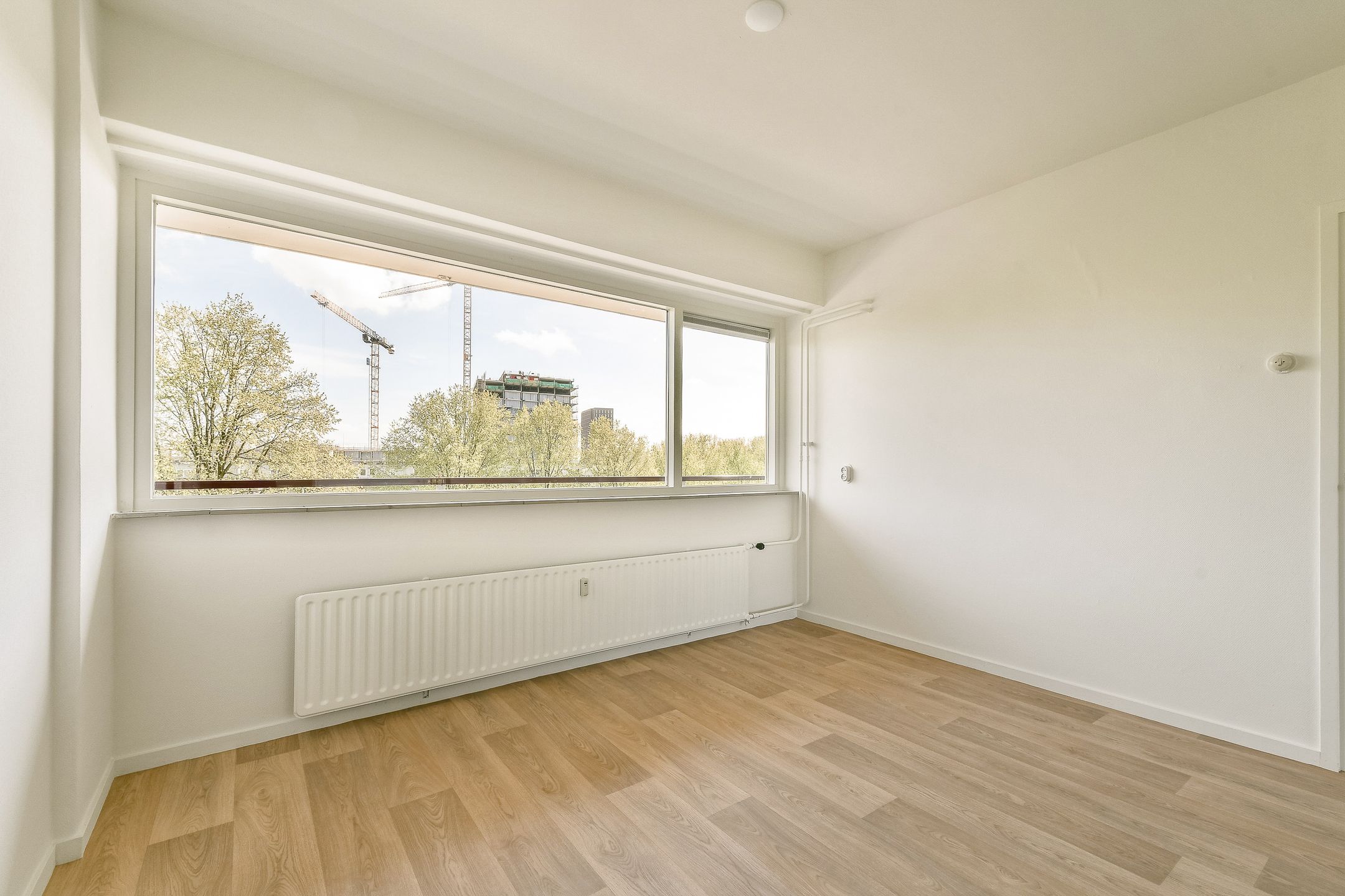 Photo 9 of Burgemeester Hogguerstraat 119