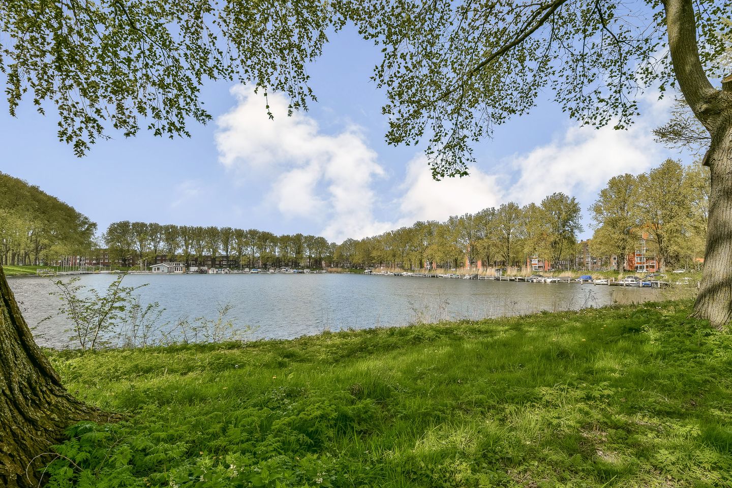 Photo 20 of Burgemeester Hogguerstraat 119