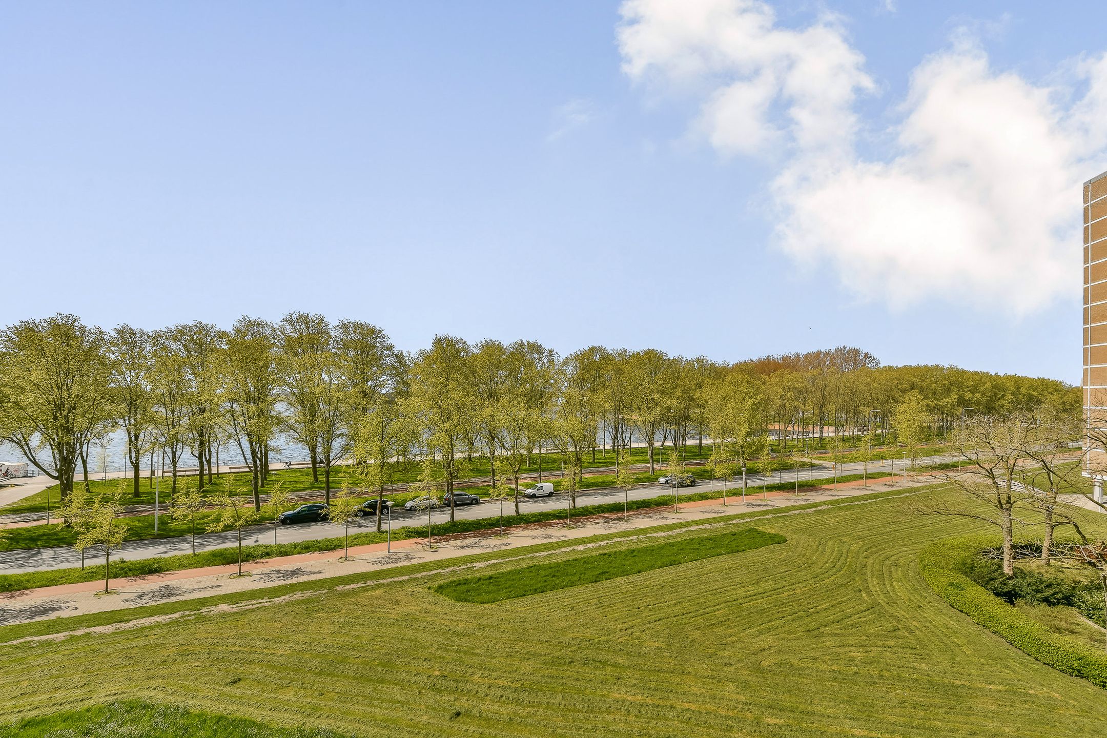 Photo 21 of Burgemeester Hogguerstraat 119